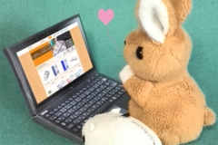 オフィスコレクションとうさちゃん